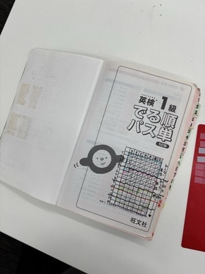 IMG_1335_コピー_コピー