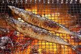 grilled fish_コピー