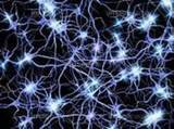 シナプス繋がる_コピー_コピー