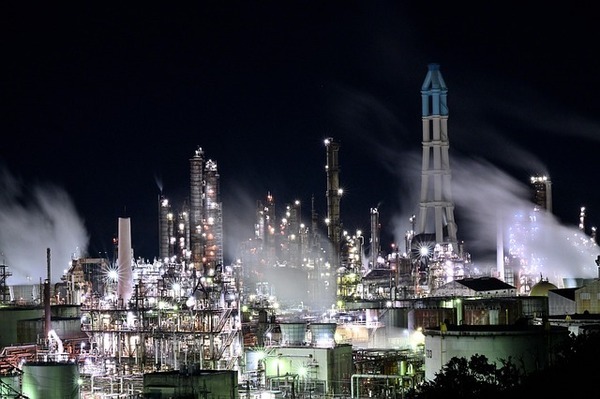 plant-7010971_640_コピー