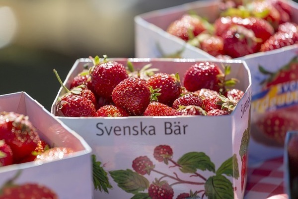 strawberries-4262280_640_コピー