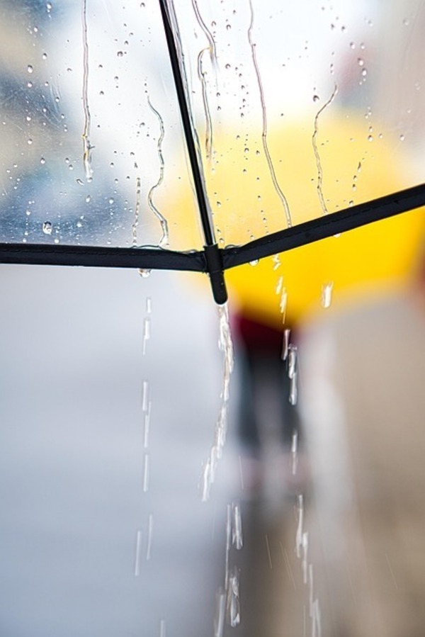 rainy-day-5298578_640_コピー