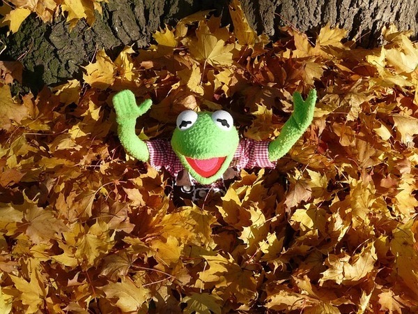 kermit-62817_640_コピー