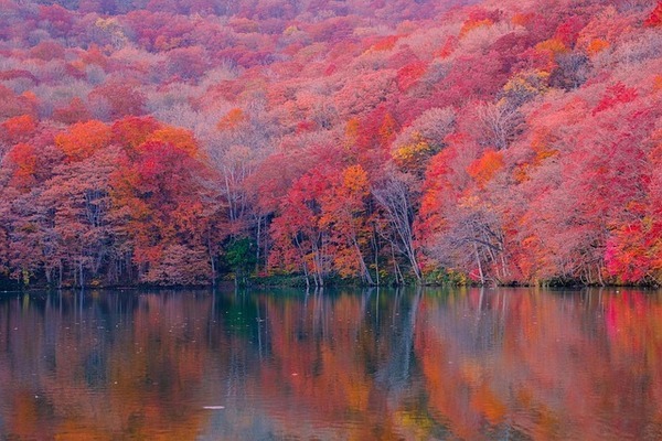 autumn-7493439_640_コピー